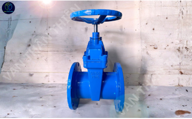 Van cửa gang cánh cao su ty chìm