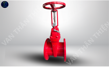 Van cửa gang tín hiệu điện ty nổi