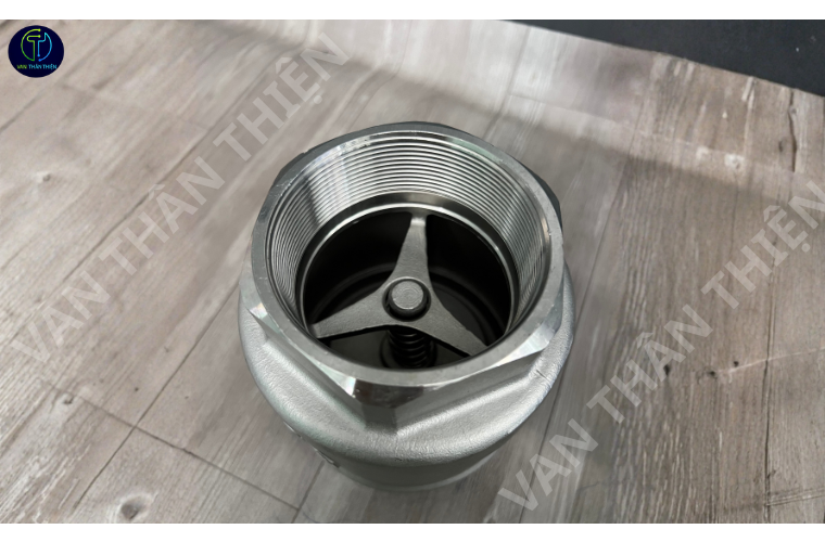 Van 1 chiều lò xo inox 304