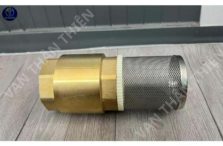 Van 1 chiều lò xo đồng