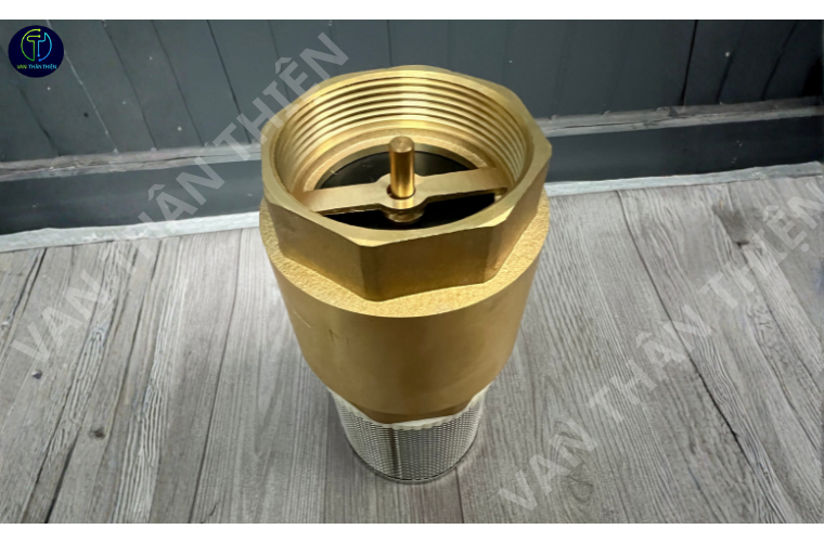 Van 1 chiều lò xo đồng