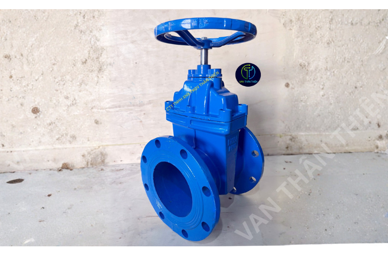 Van cửa gang cánh cao su ty chìm