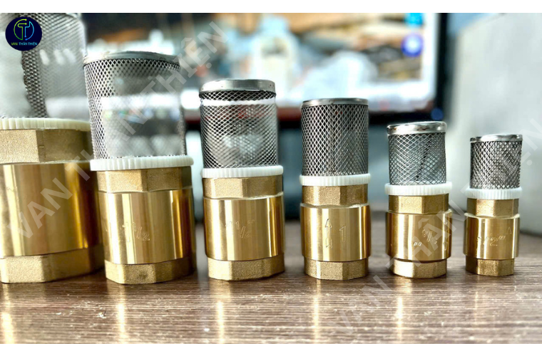 Van 1 chiều lò xo đồng