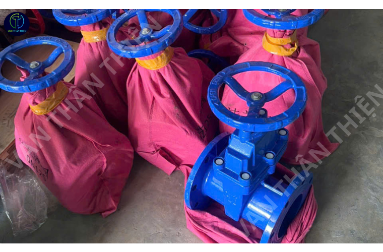 Van cửa gang cánh cao su ty chìm