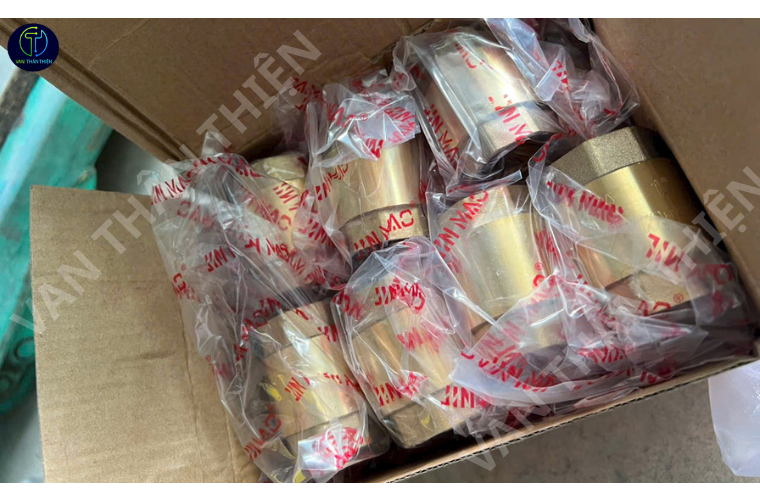 Van 1 chiều lò xo đồng