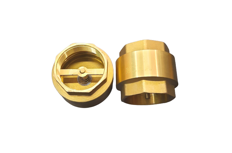 Van 1 chiều lò xo đồng