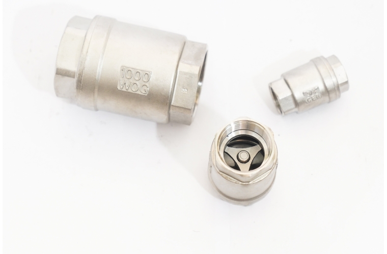 Van 1 chiều lò xo inox 304